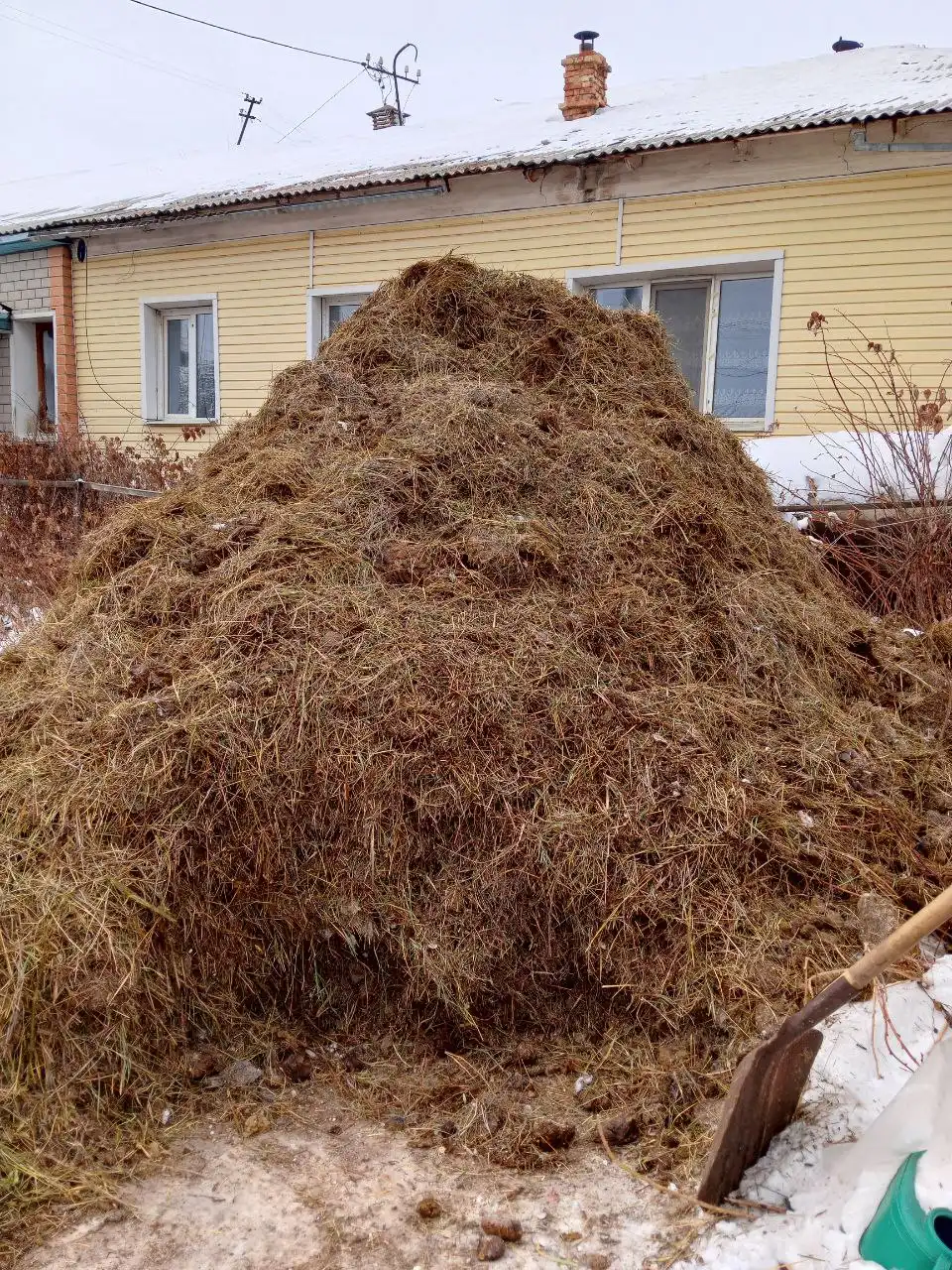Бесплатный навоз в Чите
