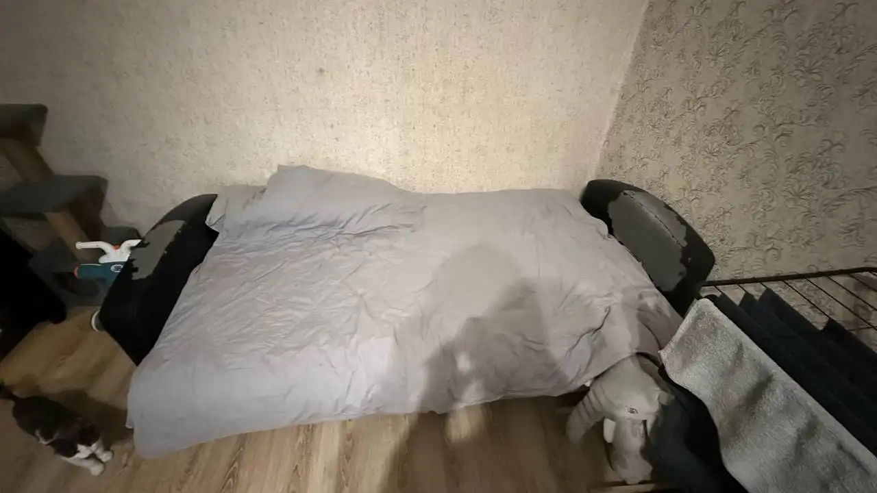 Отдам бесплатно - Барахолка в Чита