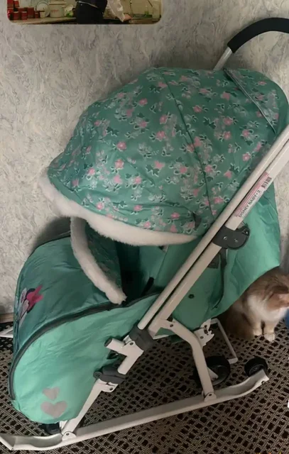 Санки с выдвижными колёсами для детей - Обувь детская в Чита