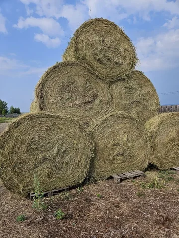 Люцерна и зеленка в рулонах - Детские товары в Чита