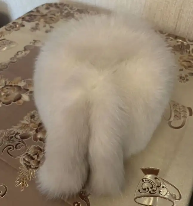 Продам шапку из песца - Головные уборы (Одежда) в Чита