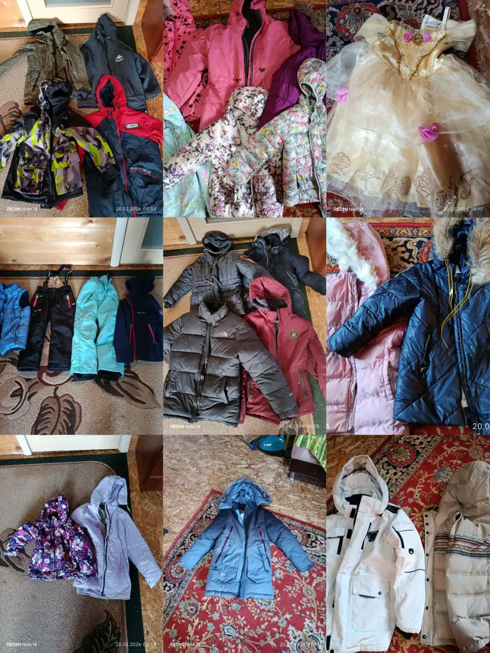 Отдам за вкусняшки - Барахолка в Чита