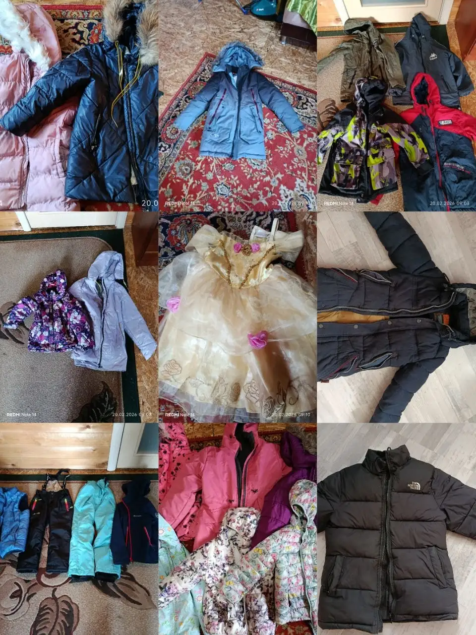 Щенок в добрые руки - Собаки (Животные) в Чита