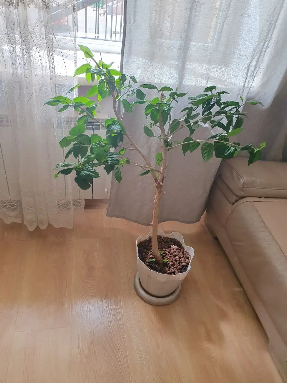 Продам - Барахолка в Чита