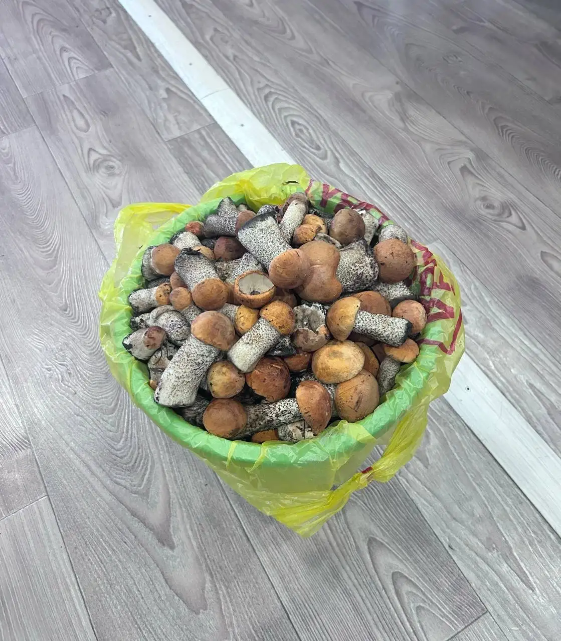 Продам подосиновики - Барахолка в Чита