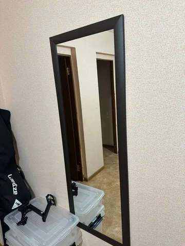 Продам зеркало 55х150 см в отличном состоянии - Растения в Казань