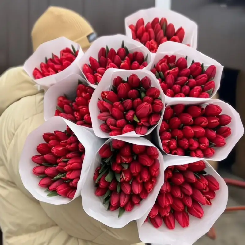 Предзаказ цветов на 8 марта - Цветы (Хобби и отдых) в Казань