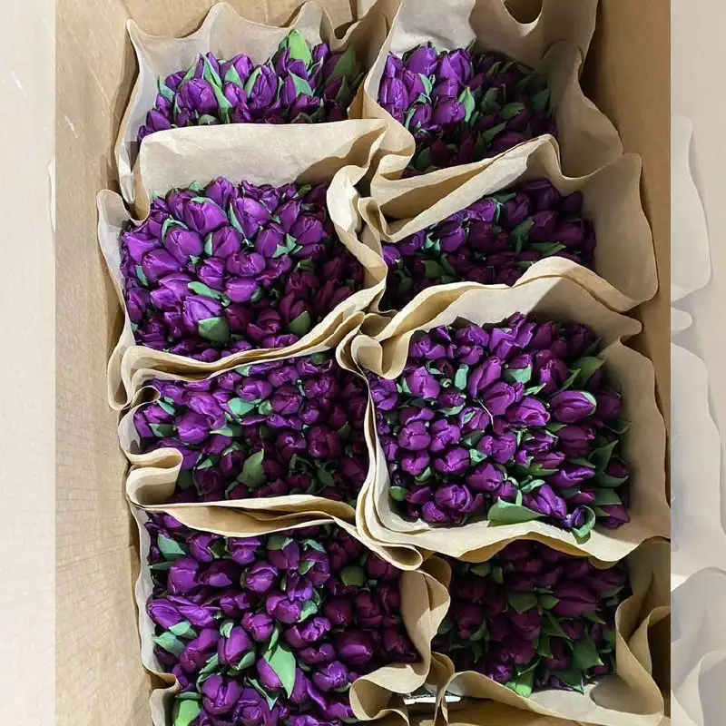 Предзаказ цветов на 8 марта - Цветы (Хобби и отдых) в Казань