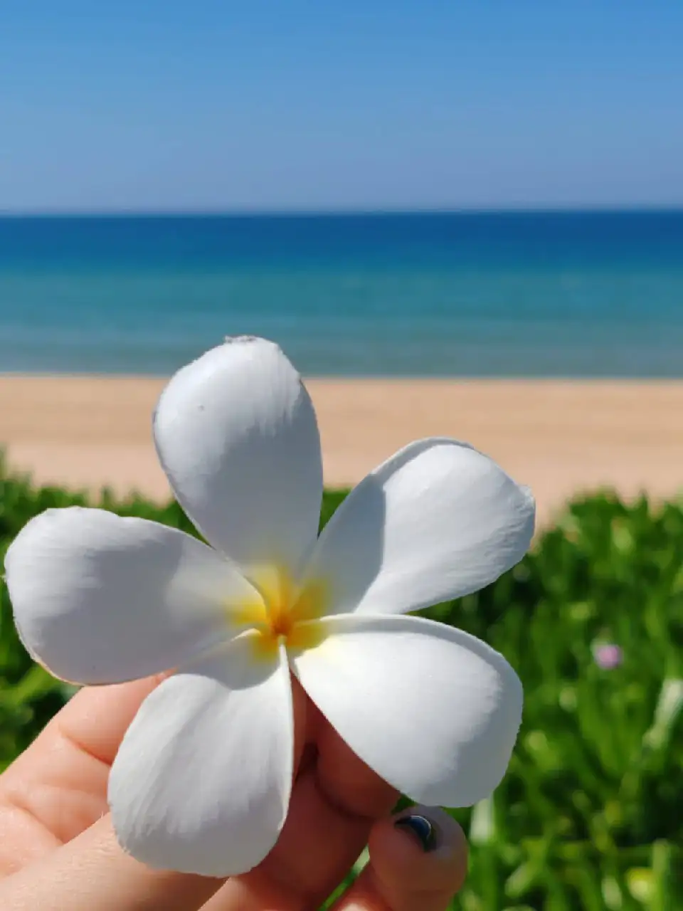 Туры в Нячанг из Казани на 20 дней - Туризм (Хобби и отдых) в Казань