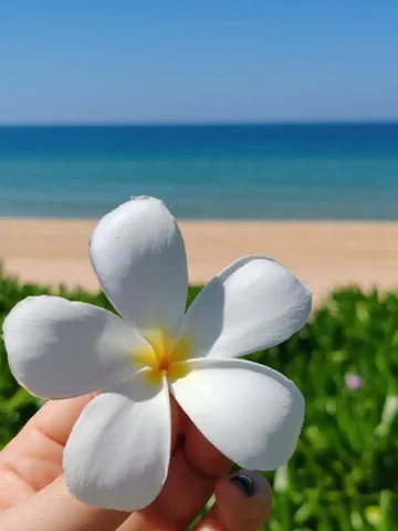 Туры в Нячанг из Казани на 20 дней - Туризм в Казань