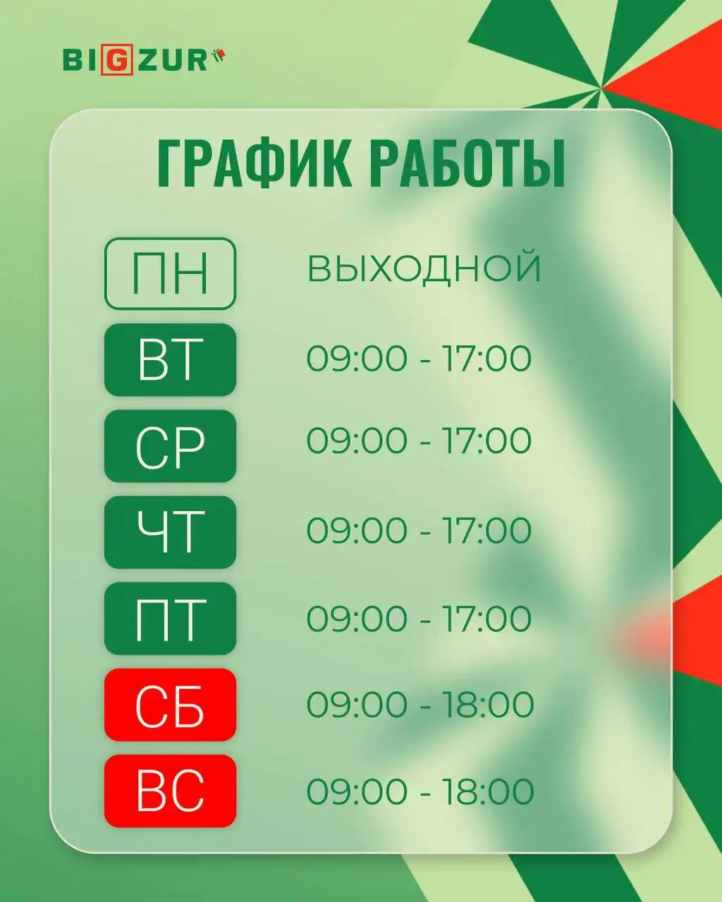 Магазин одежды и обуви Бигзур - Одежда в Казань