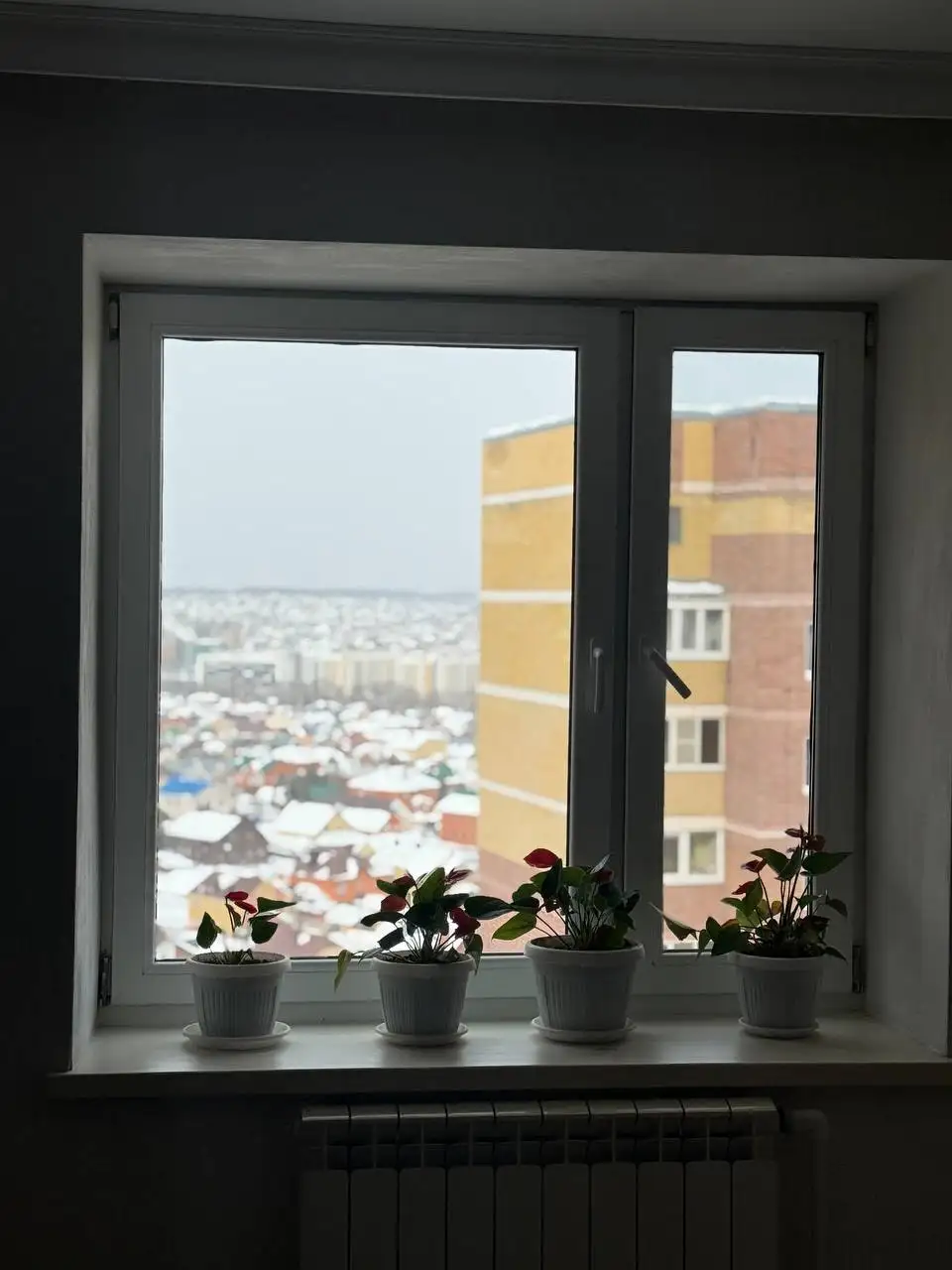 Окна на дачу 148 на 140 - Окна (Для дома и дачи) в Казань