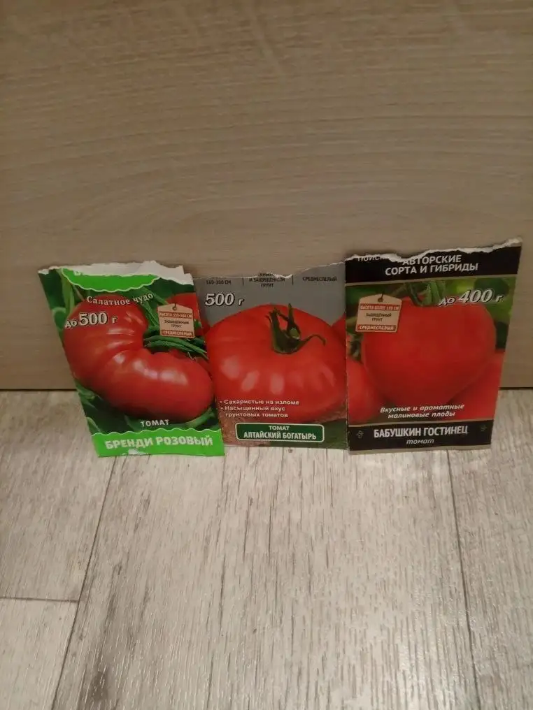 Рассада помидор - Садоводство (Хобби и отдых) в Казань