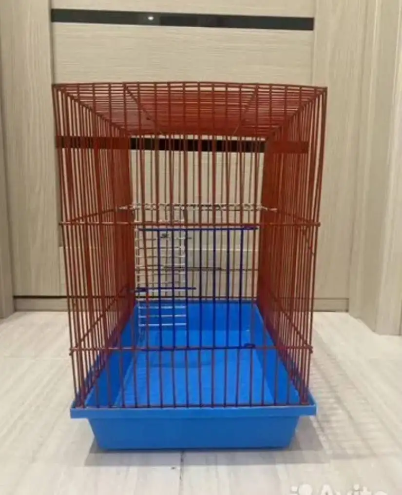 Продажа муравьиной фермы и термосумок - Хобби и отдых в Казань