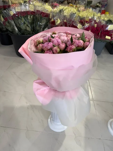 Пионы в наличии - Игрушки в Казань