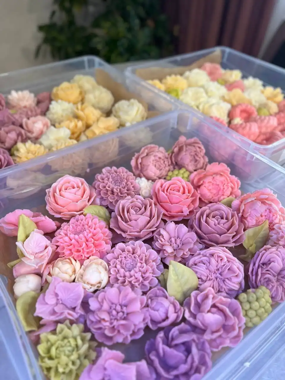 Цветы из птичьего молока