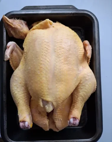 Домашний бройлер в наличии - Животные в Волгоград