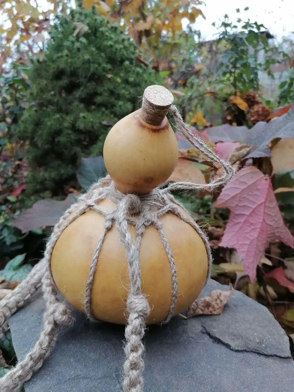 Ручная фляга из посудной тыквы с выжженным рисунком