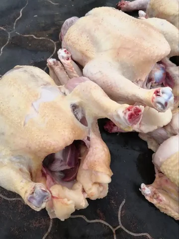 Заказы на курочку на выходные - Животные в Волгоград