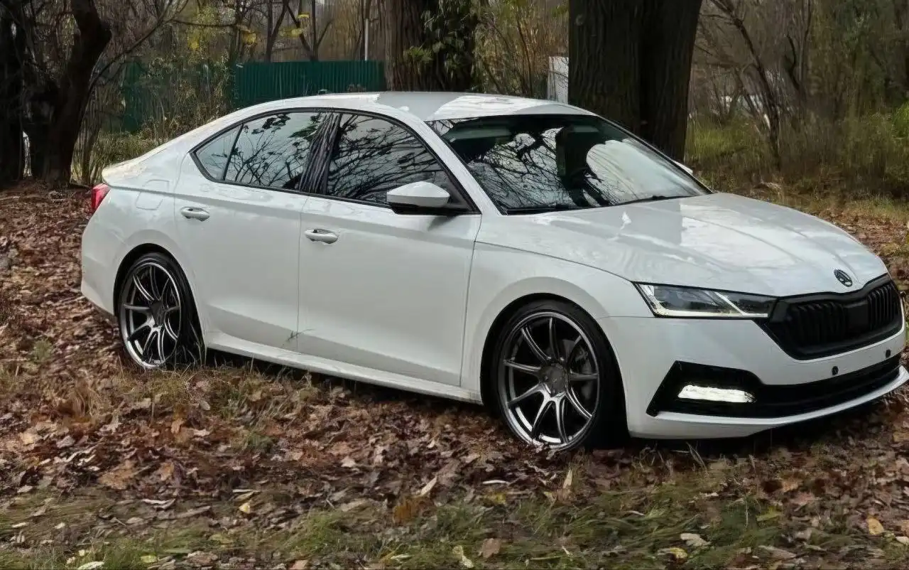 Колеса Skoda R19 с резиной 2023 года