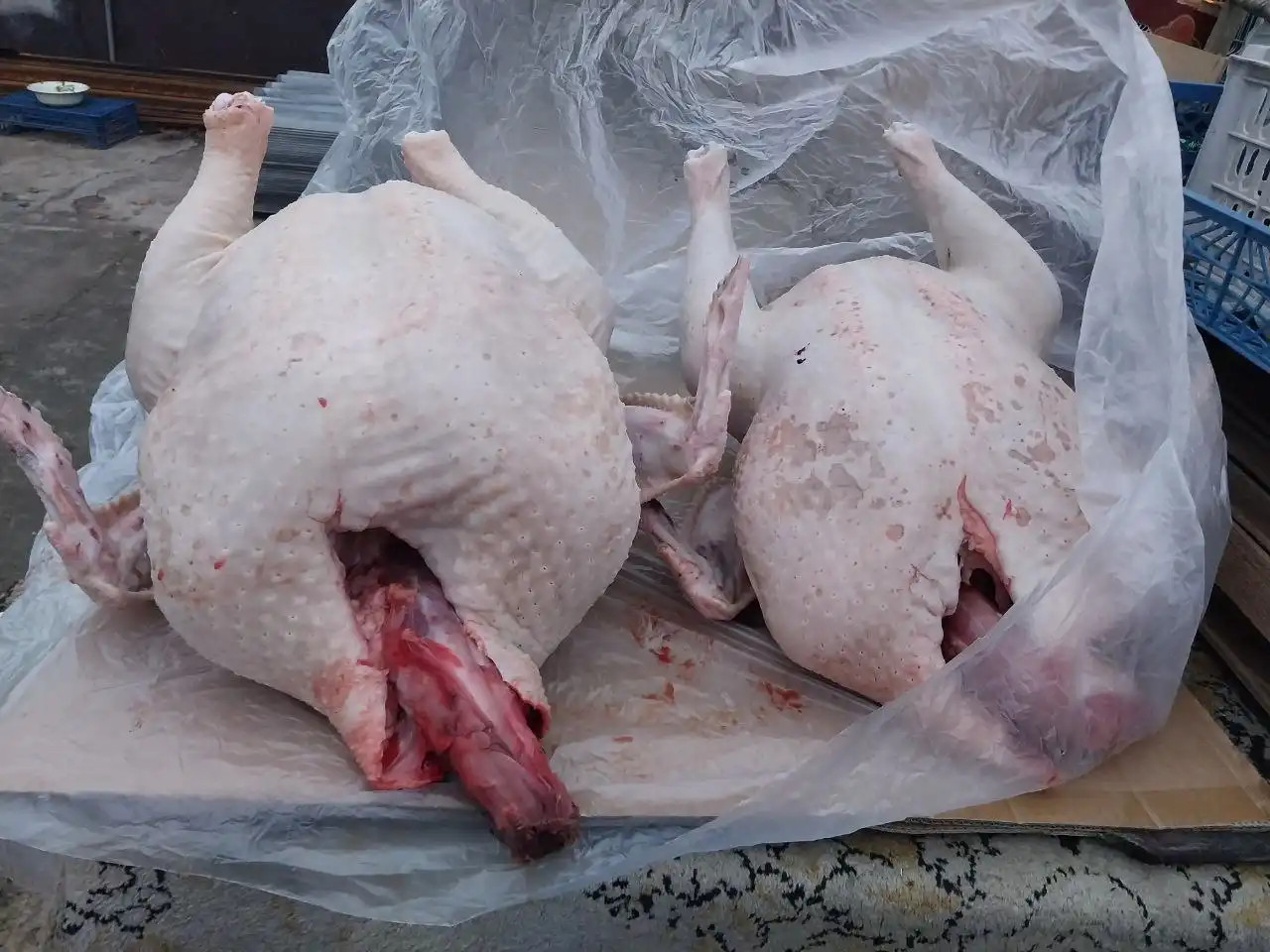 Продажа домашнего мяса птицы и яиц