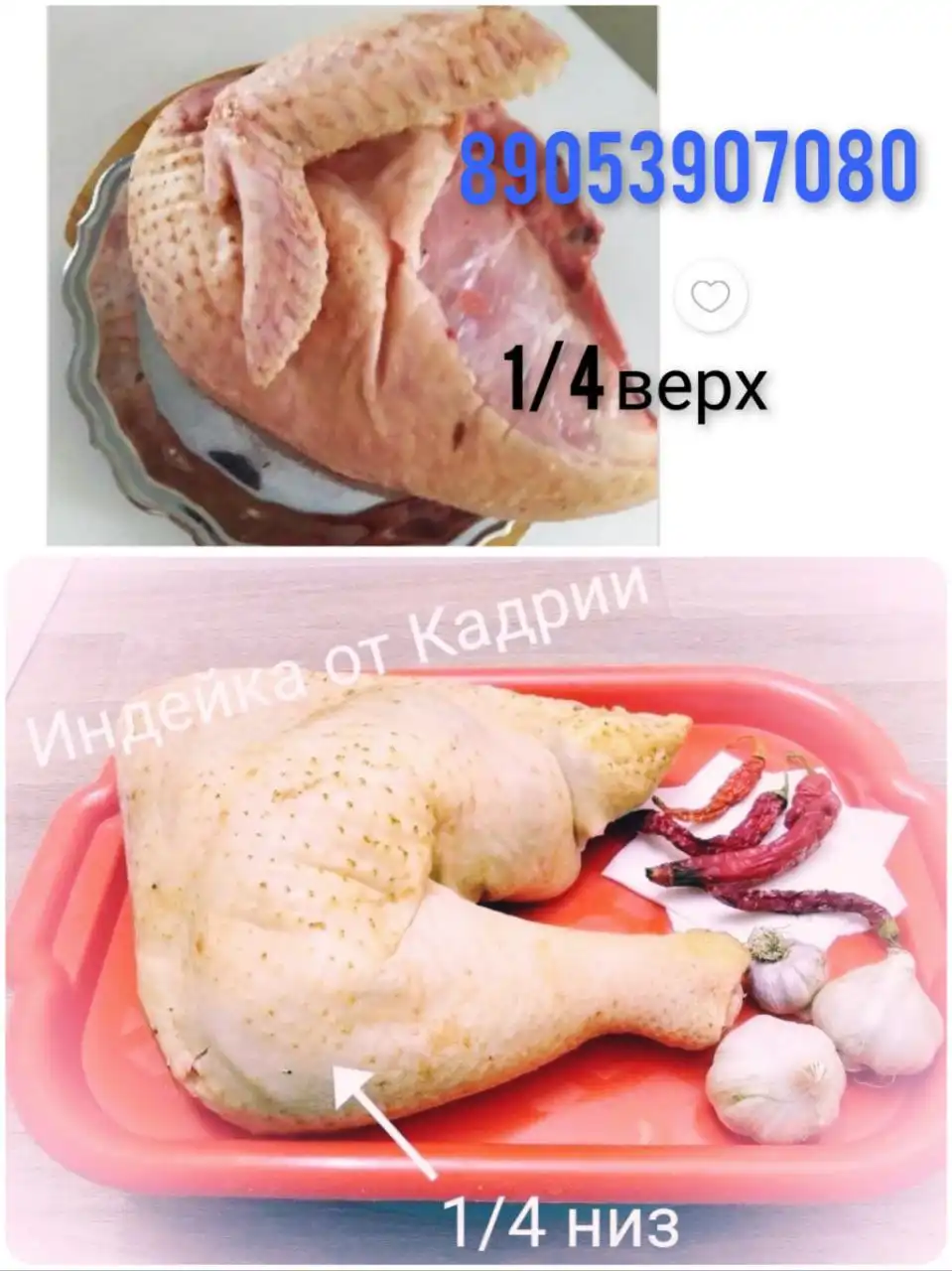 Домашняя индейка из Волгограда