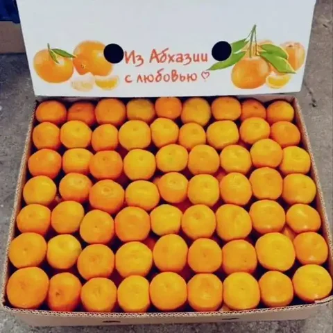 Продажа мандаринов из Абхазии - Продукты питания в Волгоград