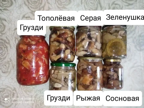 Маринованные грибы рядовок к новогоднему столу - частное объявление в Волгоград