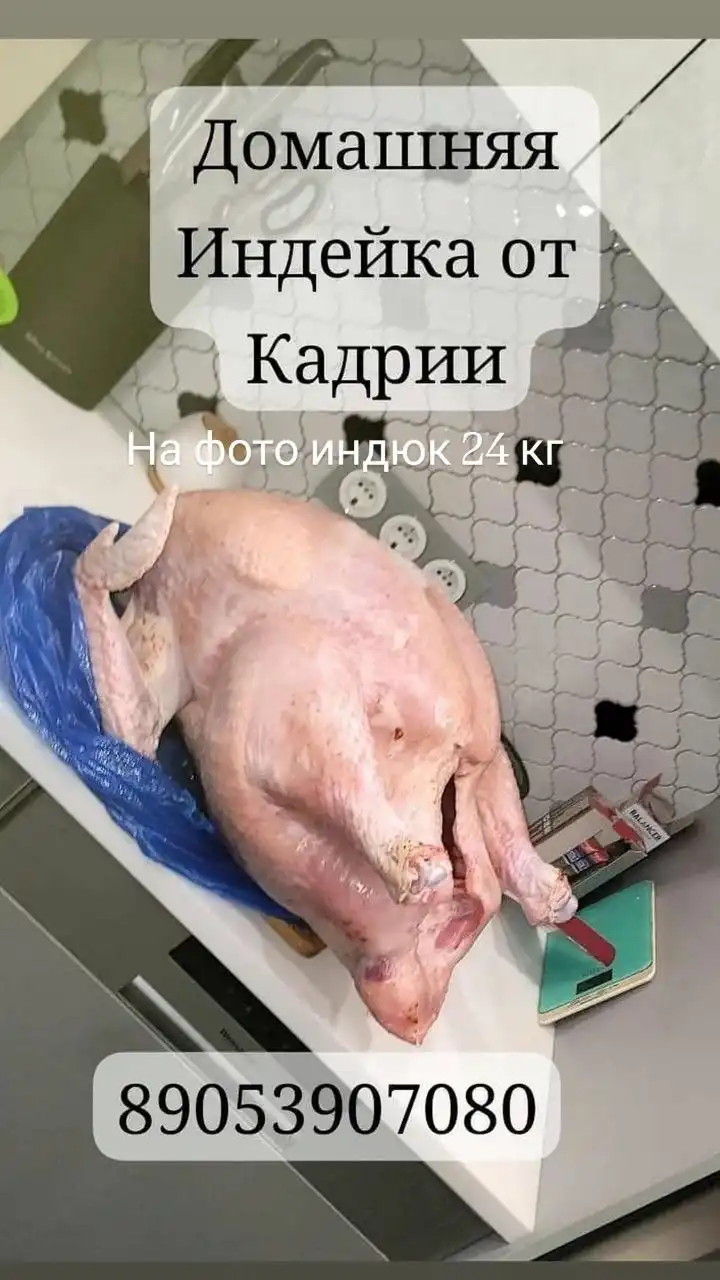 Домашняя индейка без антибиотиков и ГМО