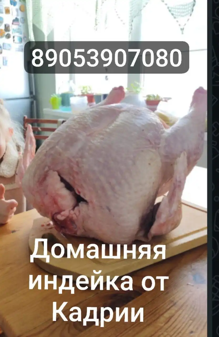 Домашняя индейка без антибиотиков и ГМО