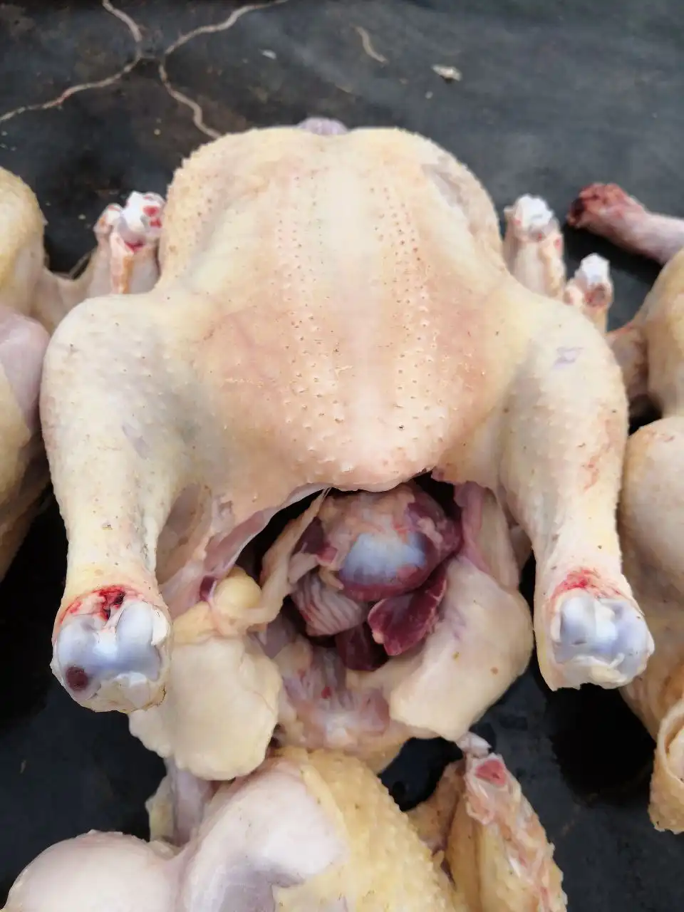 Продажа курочек бройлера в Волгограде