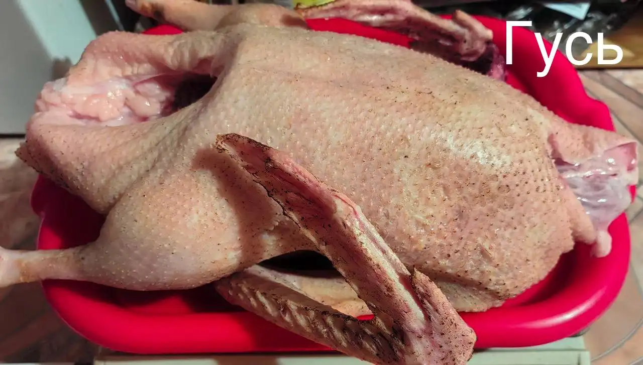 Продажа домашней птицы: гусь и индоутка