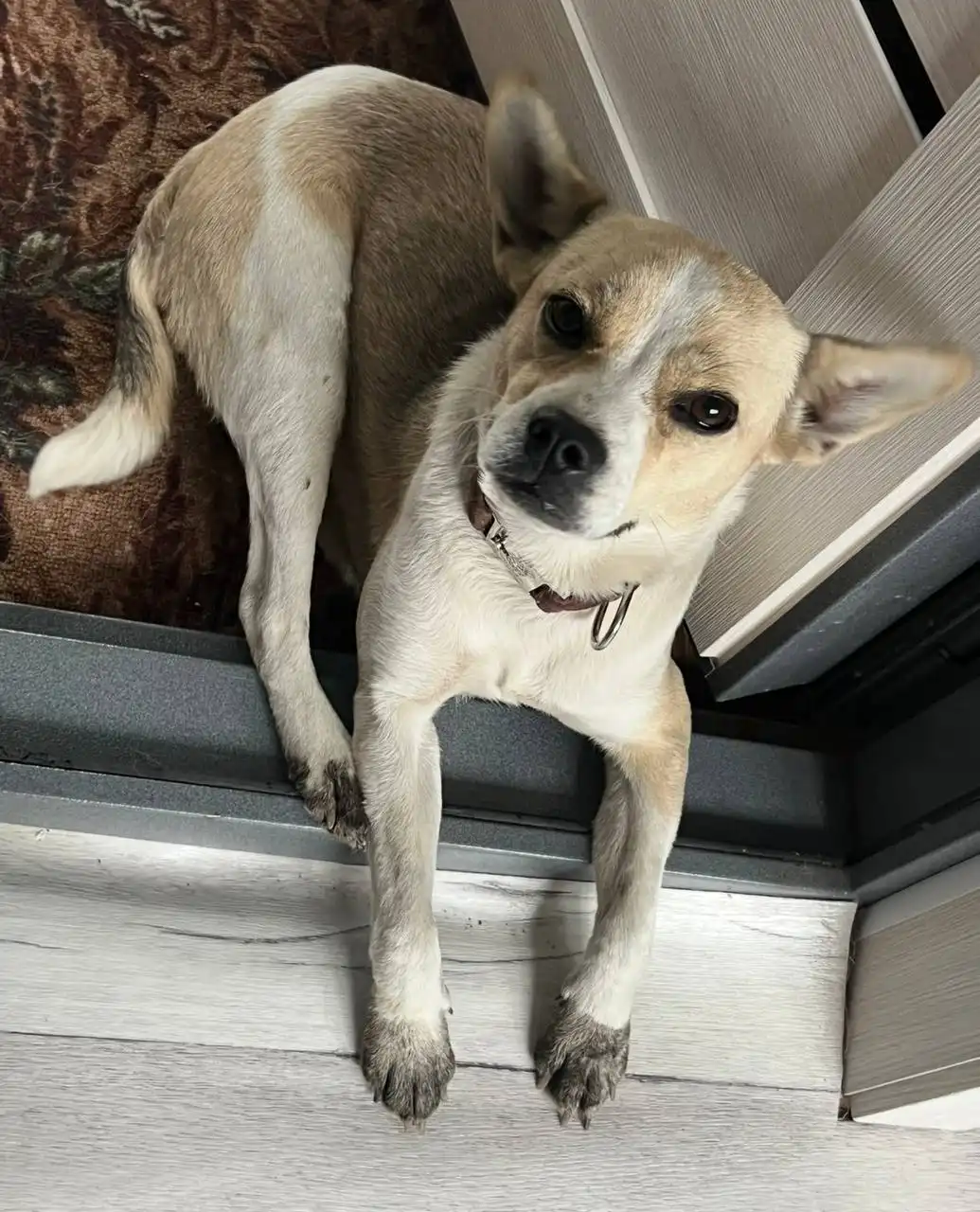 Продажа их матери в Волгограде - Барахолка в Волгоград