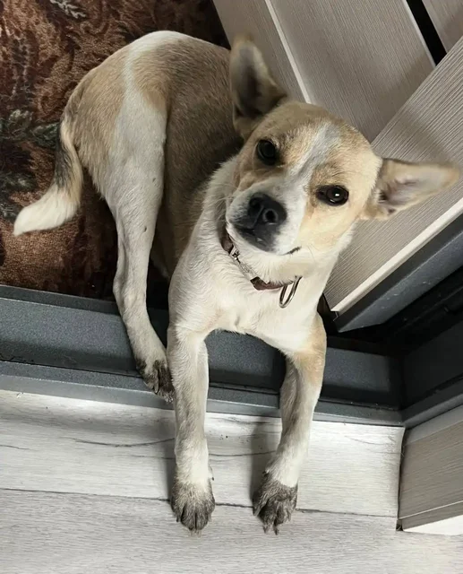 Продажа их матери в Волгограде - Барахолка в Волгоград