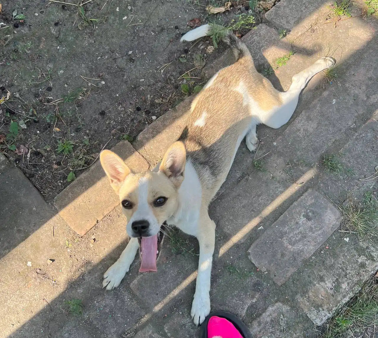 Продажа их матери в Волгограде - Барахолка в Волгоград