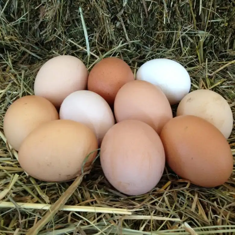 Свежие домашние яйца от свободно выгуливаемых курочек - Продукты питания (Барахолка) в Волгоград