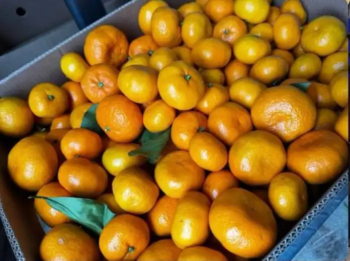 Мандарины Абхазские - Продукты питания (Барахолка) в Волгоград