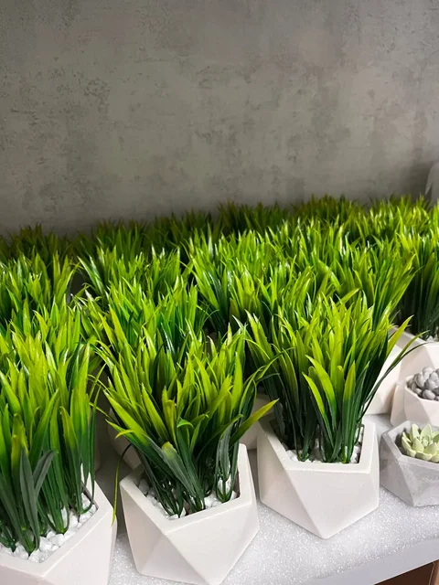 Осока в гипсовом кашпо - Ножи, холодное оружие в Волгоград