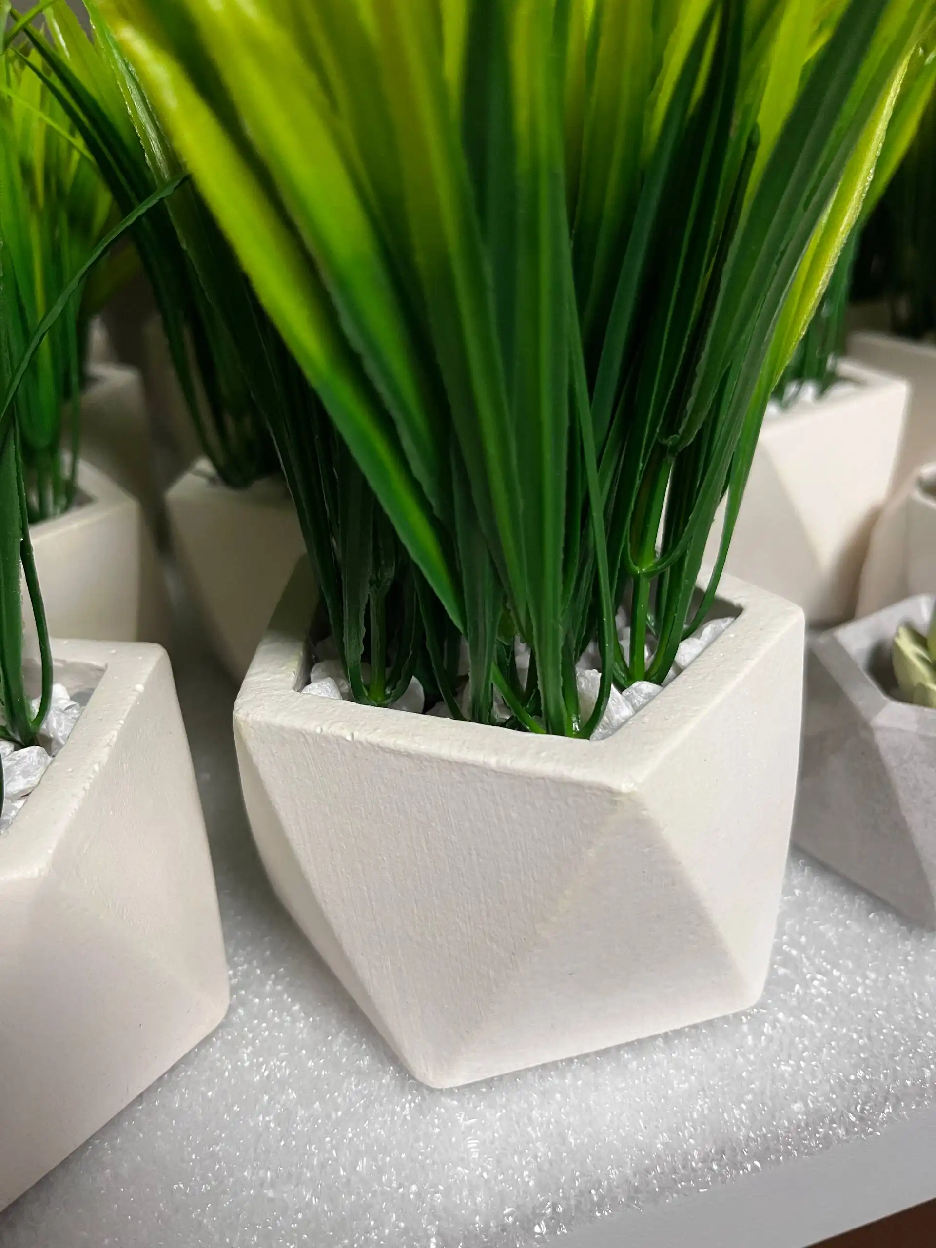 Осока в гипсовом кашпо - Хобби и отдых в Волгоград