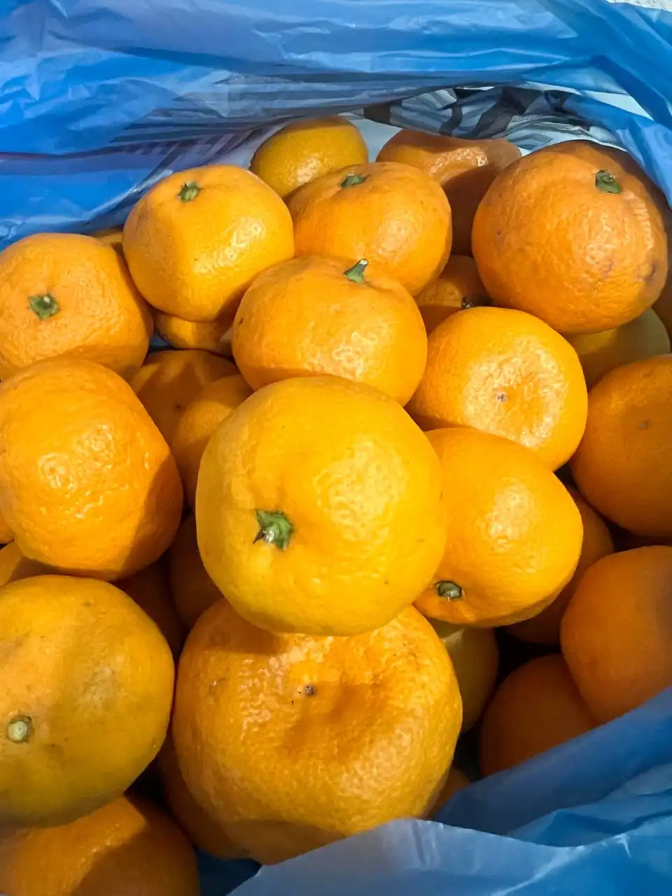 Мандарины Абхазия - Барахолка в Волгоград