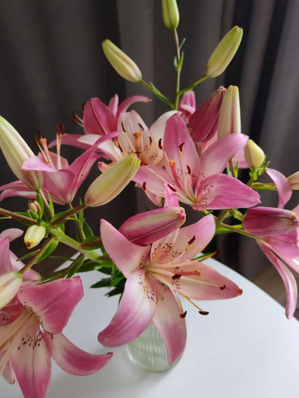 Аромадиффузоры с премиальными компонентами и 30 ароматами - Для дома и дачи в Волгоград