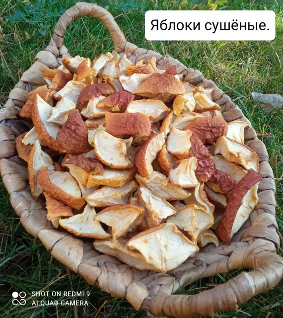 Продажа сушеных маслят и яблок - Гуманитарная помощь в Волгоград