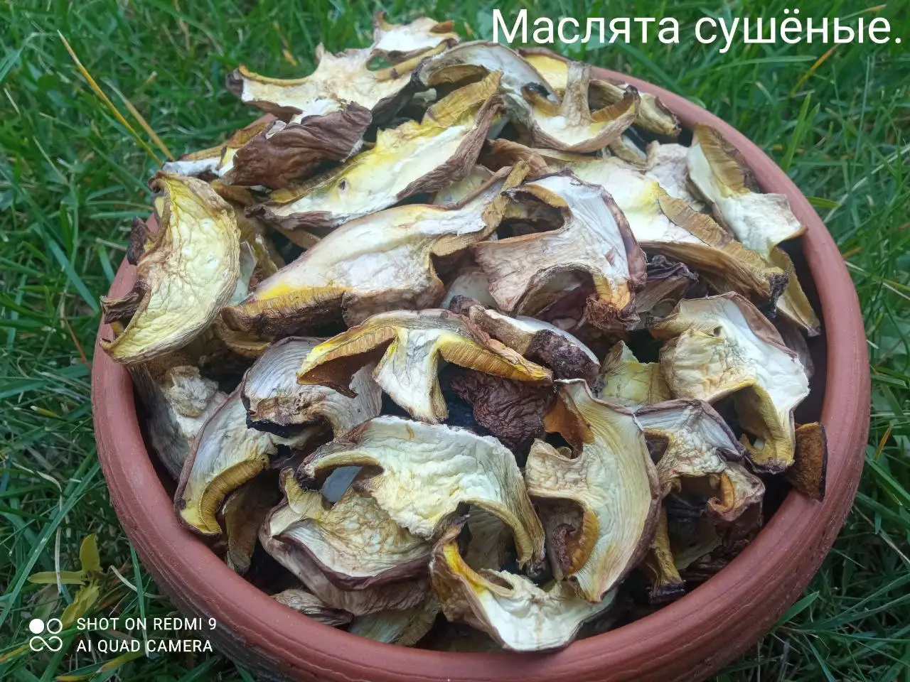 Продажа сушеных маслят и яблок - Продукты питания (Барахолка) в Волгоград