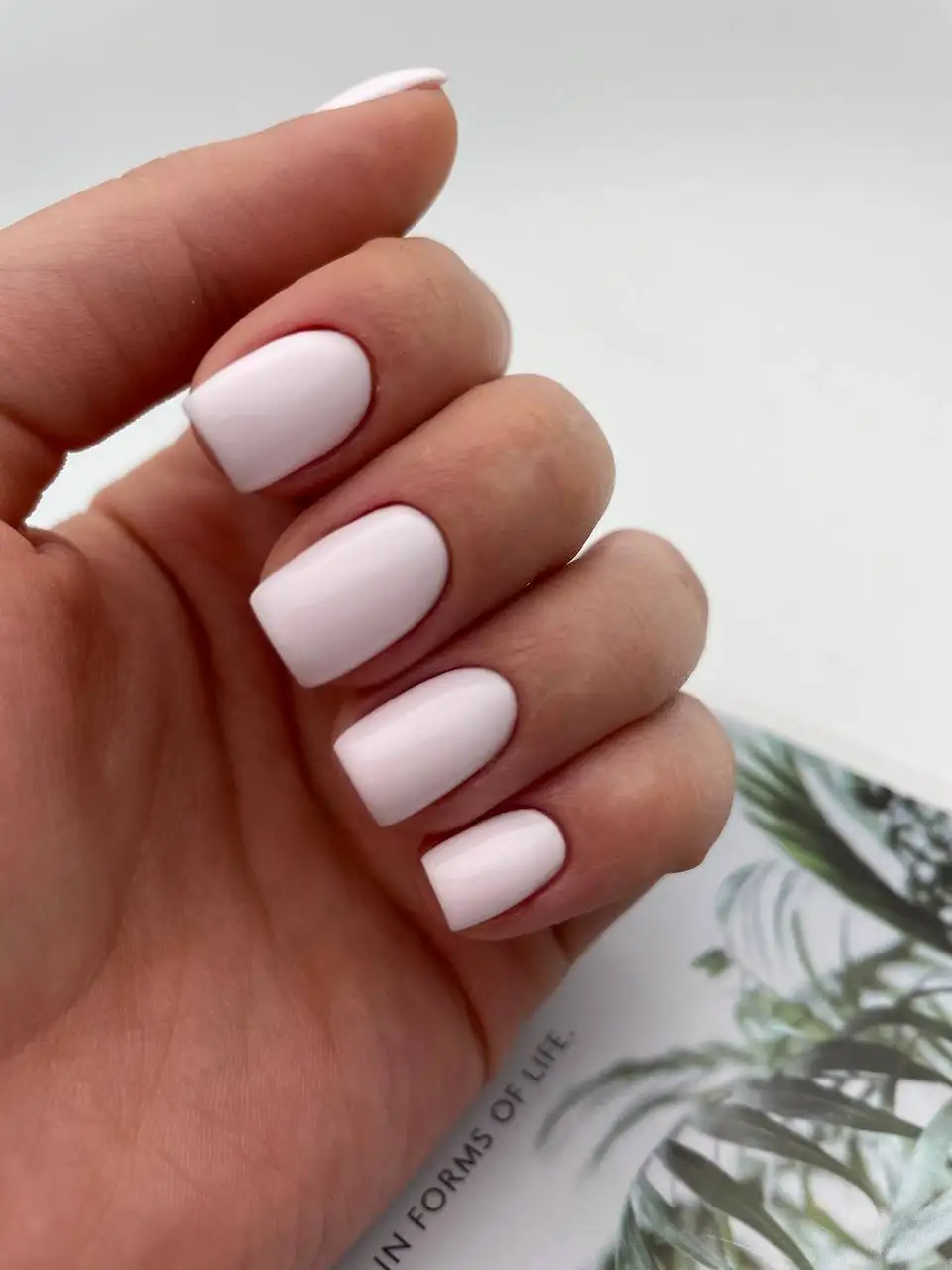 Бьюти-студия MiMi: маникюр, педикюр, наращивание ногтей и ресниц - Красота (Услуги) в Волгоград