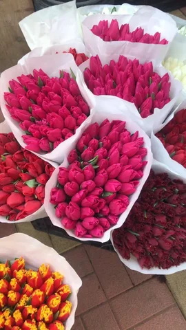 Продажа тюльпанов с доставкой в Советском районе - Товары для творчества в Волгоград