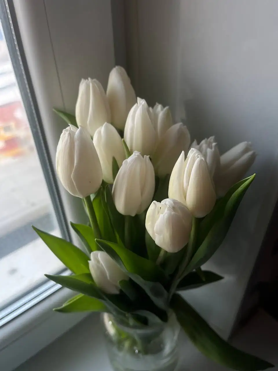 Предзаказ белых тюльпанов в Волгограде - Цветы (Хобби и отдых) в Волгоград