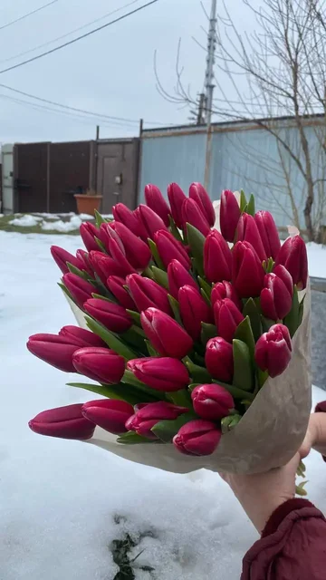 Объявление о продаже товаров в Волгограде - Клетки для животных в Волгоград