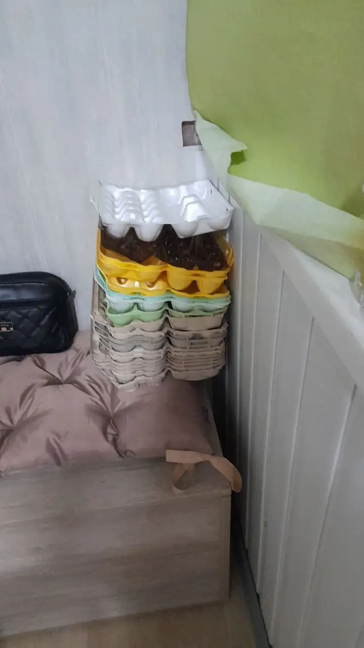 Домашние яйца бесплатно - Барахолка в Волгоград