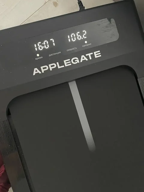 Аренда беговых дорожек в Волгограде - Окна в Волгоград