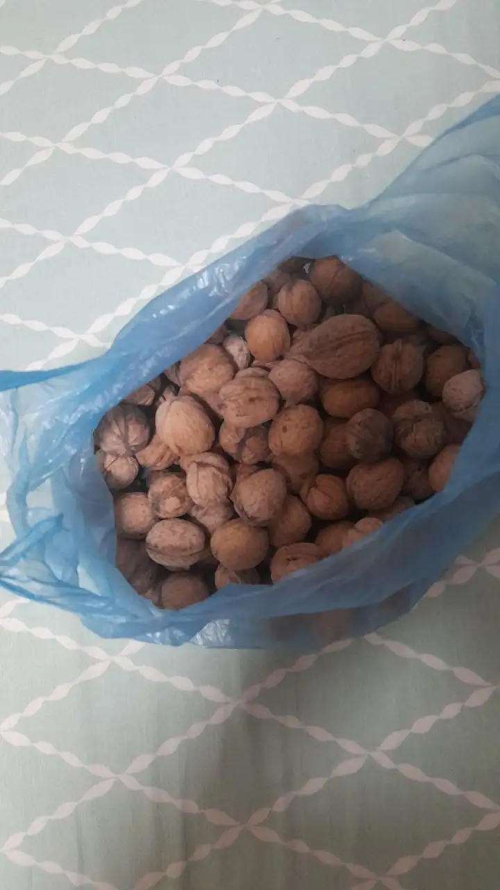 Отдам бесплатно или за шоколадку в Волгограде - Барахолка в Волгоград